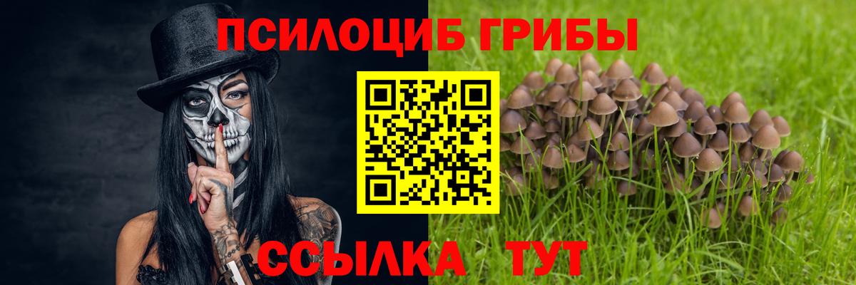 Псилоцибиновые грибы MAGIC MUSHROOMS  Псилоцибиновые грибы Magic Shrooms  Вход с VPN  Сургут 